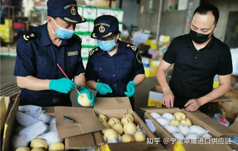 守护舌尖安全 从源头到货架的食品准入评估体系解读